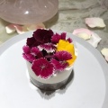 実際訪問したユーザーが直接撮影して投稿した栄カフェbistrocafe THE FLOWER TABLEの写真