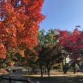 実際訪問したユーザーが直接撮影して投稿した外五曲町公園鈴の森公園の写真