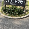 実際訪問したユーザーが直接撮影して投稿した駒沢公園駒沢オリンピック公園 ジャブジャブ池の写真