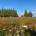 実際訪問したユーザーが直接撮影して投稿した布施公園あけぼの山農業公園の写真