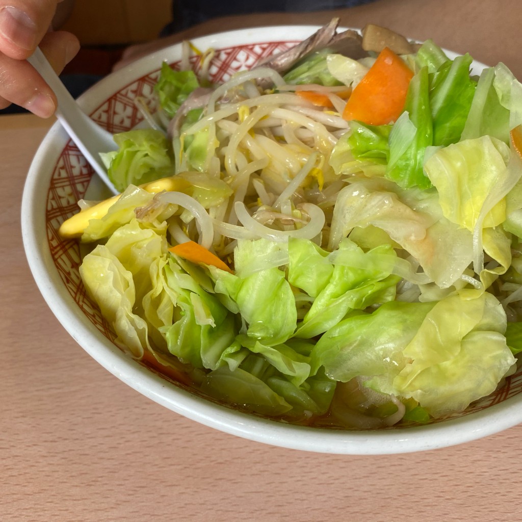 ユーザーが投稿した塩野菜ラーメンの写真 - 実際訪問したユーザーが直接撮影して投稿した笠幡ラーメン専門店めん丸 川越店の写真