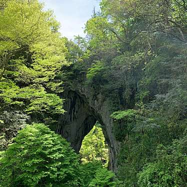 実際訪問したユーザーが直接撮影して投稿した草間野 / 川遊び羅生門の写真