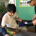 実際訪問したユーザーが直接撮影して投稿した為又工場見学森のガラス館の写真