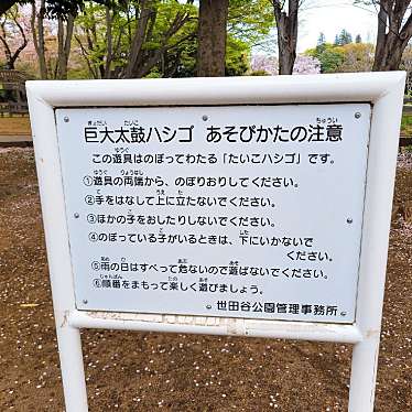 実際訪問したユーザーが直接撮影して投稿した池尻公園遊具広場の写真