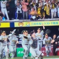 実際訪問したユーザーが直接撮影して投稿した甲子園町野球場阪神甲子園球場の写真