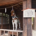 実際訪問したユーザーが直接撮影して投稿した穂高神社穂高神社の写真