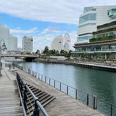 実際訪問したユーザーが直接撮影して投稿した河川大岡川の写真