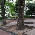 実際訪問したユーザーが直接撮影して投稿した白鷺公園鷺宮運動広場の写真