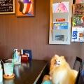 実際訪問したユーザーが直接撮影して投稿した柳沢カフェmotophonic cafeの写真