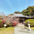 実際訪問したユーザーが直接撮影して投稿した柳本町寺長岳寺の写真