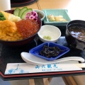 ウニいくら丼 - 実際訪問したユーザーが直接撮影して投稿した平薄磯魚介 / 海鮮料理山六観光の写真のメニュー情報