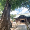 実際訪問したユーザーが直接撮影して投稿した三山神社二宮神社の写真