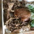 実際訪問したユーザーが直接撮影して投稿した美章園ラーメン / つけ麺本町製麺所 阿倍野卸売工場 中華そば工房の写真