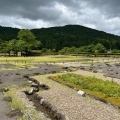 実際訪問したユーザーが直接撮影して投稿した城戸ノ内町遺跡地一乗谷朝倉氏遺跡の写真