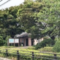 実際訪問したユーザーが直接撮影して投稿した弁天公園弁天ふれあいの森公園の写真