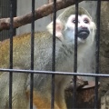 実際訪問したユーザーが直接撮影して投稿した北葛西動物園江戸川区自然動物園の写真