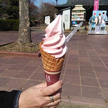 実際訪問したユーザーが直接撮影して投稿した千波町和カフェ / 甘味処好文茶屋の写真