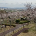 実際訪問したユーザーが直接撮影して投稿した塚脇公園摂津峡公園の写真