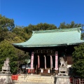 実際訪問したユーザーが直接撮影して投稿した城山町神社城山八幡宮の写真