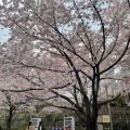 実際訪問したユーザーが直接撮影して投稿した神宮前公園神宮通公園の写真