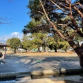 実際訪問したユーザーが直接撮影して投稿した神戸公園神戸公園の写真