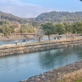 実際訪問したユーザーが直接撮影して投稿した河川宇治川の写真