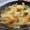 しらす丼とかき揚げうどんのセット - 実際訪問したユーザーが直接撮影して投稿した湯浅寿司松由の写真のメニュー情報