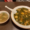 マーボーハン - 実際訪問したユーザーが直接撮影して投稿した江尻中華料理松園の写真のメニュー情報
