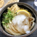 おろしぶっかけうどん - 実際訪問したユーザーが直接撮影して投稿した羽床下うどん本格手打うどん はゆかの写真のメニュー情報