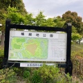 実際訪問したユーザーが直接撮影して投稿した楠町北五味塚公園楠中央緑地の写真
