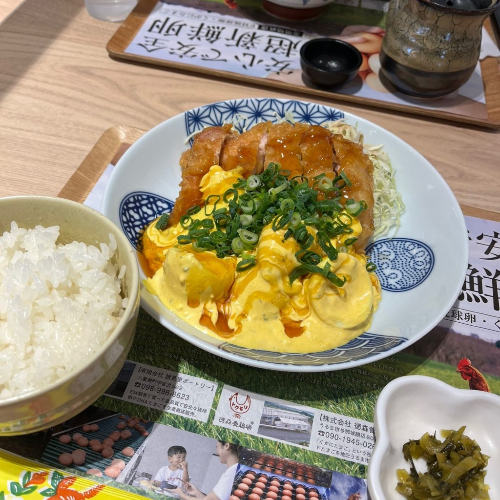 ユーザーが投稿したお子様セット(親子丼)の写真 - 実際訪問したユーザーが直接撮影して投稿した亀戸鶏料理鳥と卵の専門店 鳥玉 カメイドクロック店の写真