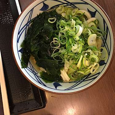 実際訪問したユーザーが直接撮影して投稿した有野中町うどん丸亀製麺 有野店の写真