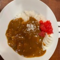 カレー - 実際訪問したユーザーが直接撮影して投稿した南一条西喫茶店ひので喫茶の写真のメニュー情報