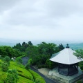 実際訪問したユーザーが直接撮影して投稿した大原野小塩町寺善峯寺の写真