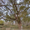 実際訪問したユーザーが直接撮影して投稿した緒川公園於大公園の写真