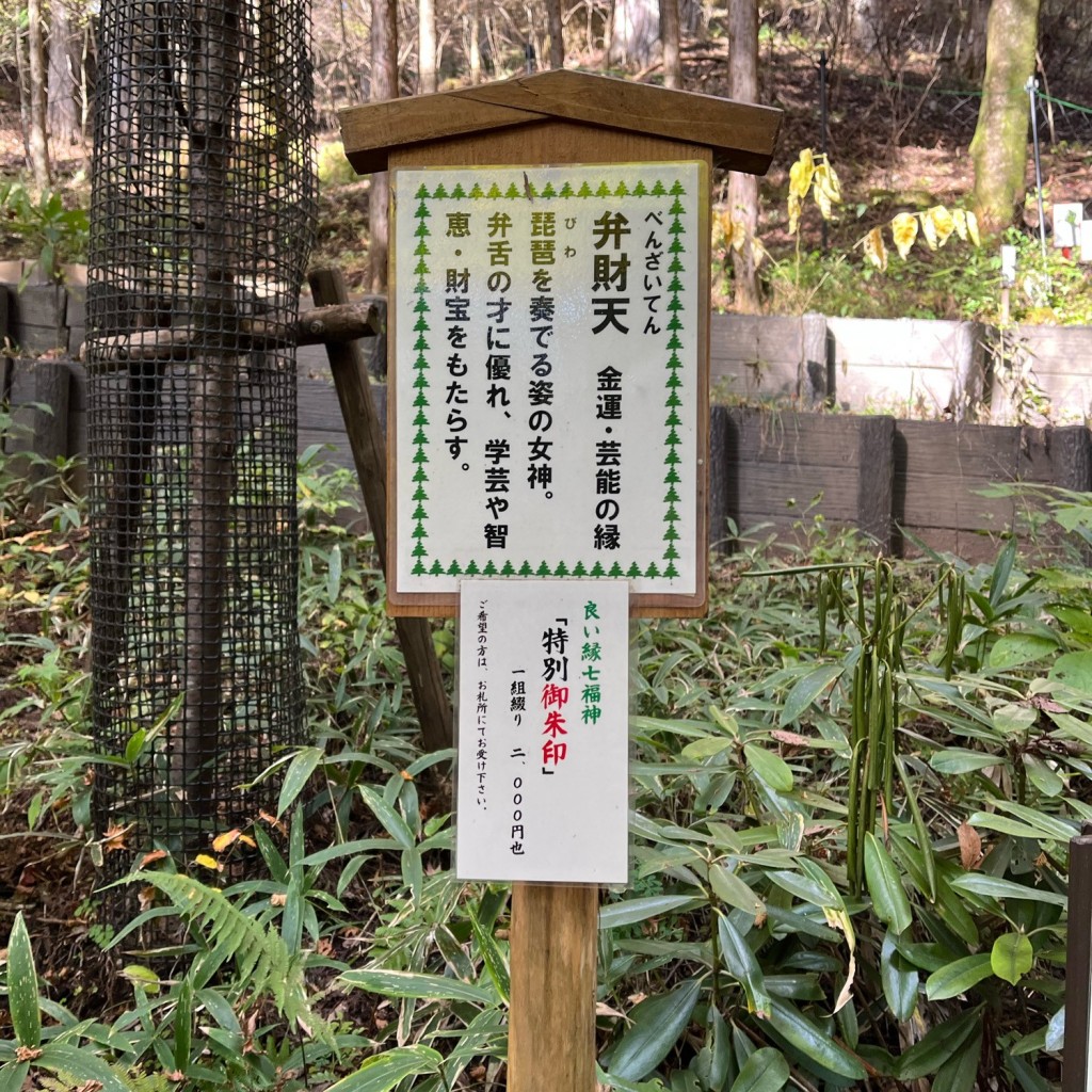 実際訪問したユーザーが直接撮影して投稿した中宮祠神社弁財天の写真