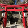 実際訪問したユーザーが直接撮影して投稿した愛宕地域名所愛宕神社 大鳥居の写真