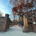 実際訪問したユーザーが直接撮影して投稿した本駒込庭園六義園 つつじ茶屋の写真