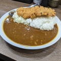 ヒレカツカレー - 実際訪問したユーザーが直接撮影して投稿した市谷田町とんかつとんかつ檍のカレー屋いっぺこっぺ市ヶ谷店の写真のメニュー情報