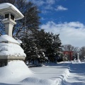 実際訪問したユーザーが直接撮影して投稿した花咲町神社北海道 護国神社の写真