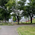 実際訪問したユーザーが直接撮影して投稿した江ケ崎町公園新鶴見公園の写真