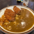 ポークカレー - 実際訪問したユーザーが直接撮影して投稿した池上カレーカレーハウスCoCo壱番屋 ARROW池上店の写真のメニュー情報