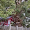 実際訪問したユーザーが直接撮影して投稿した善通寺町寺善通寺の写真