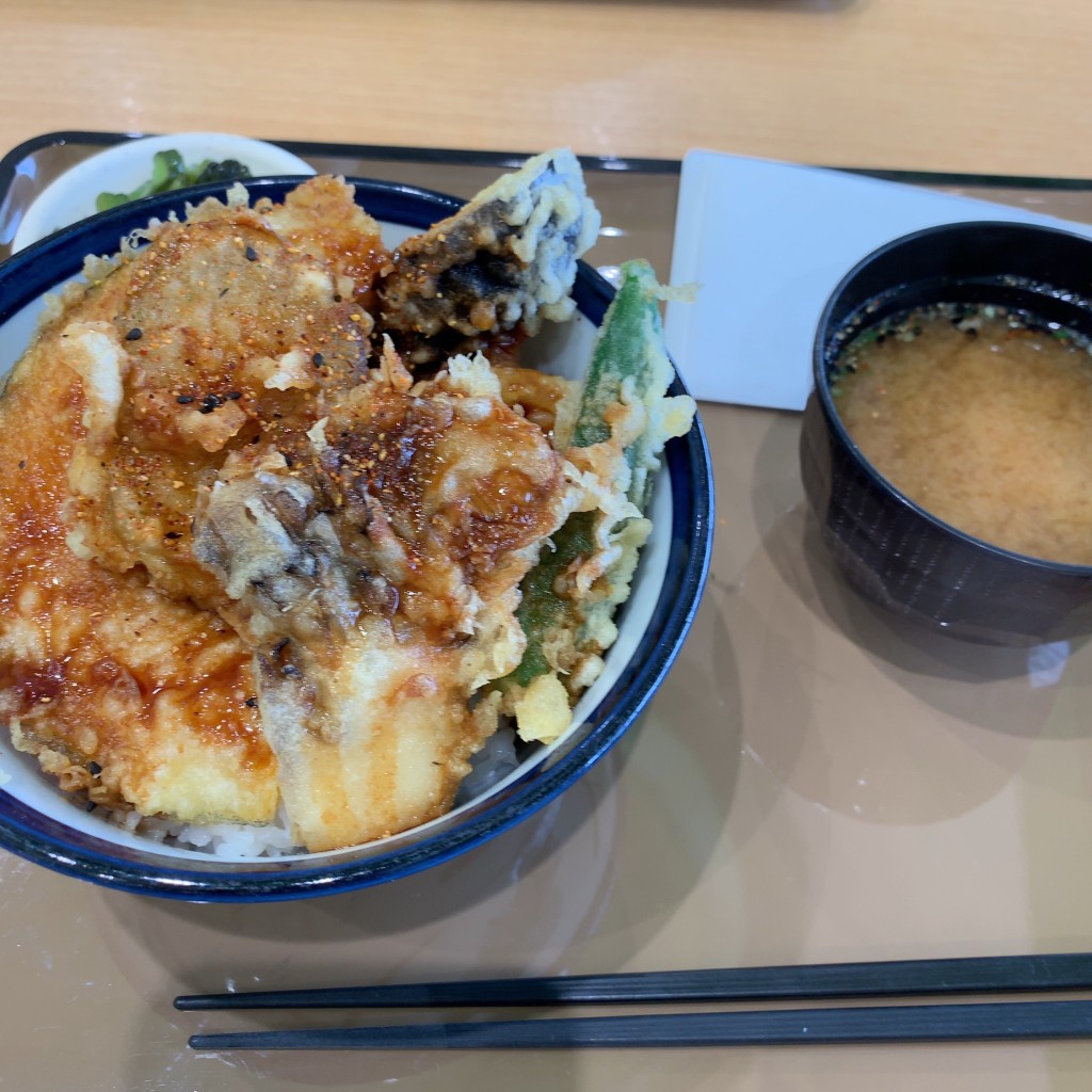 ユーザーが投稿した野菜天丼の写真 - 実際訪問したユーザーが直接撮影して投稿した東境町鶏料理鶏三和 刈谷ハイウェイオアシス店の写真