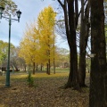 実際訪問したユーザーが直接撮影して投稿した向陽台公園彩の森入間公園の写真