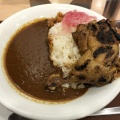 カレー並 - 実際訪問したユーザーが直接撮影して投稿した小泉牛丼すき家 6号相馬店の写真のメニュー情報