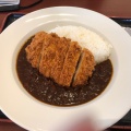 実際訪問したユーザーが直接撮影して投稿した仙石原カレー大涌谷 駅食堂の写真