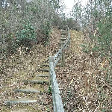 新免無二さんが投稿した平井歴史 / 遺跡のお店平井山ノ上付城跡(羽柴秀吉本陣跡)/ヒライヤマノウエヅケジョウアト ハシバヒデヨシホンジンアトの写真