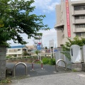 実際訪問したユーザーが直接撮影して投稿した八幡河川真間川の写真