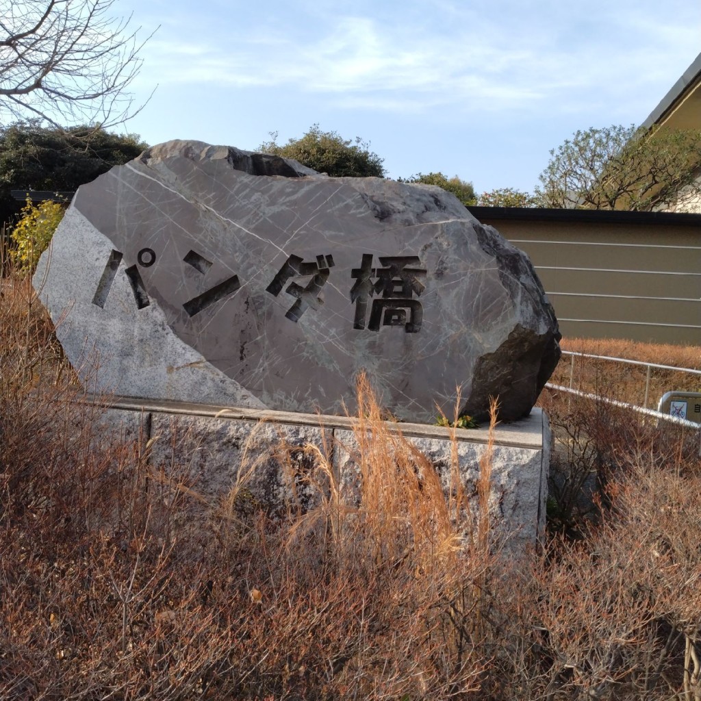 実際訪問したユーザーが直接撮影して投稿した上野地域名所パンダ橋の写真